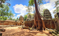 Angkor Wat 2 days 1 night