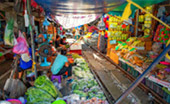 Umbrellas Market