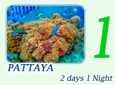 Pattaya 2 Days 1 Night