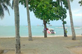 Pattaya and Koh Lan 2days1Night