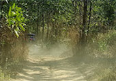 Adventure: Buggy or ATV Half Day Tour from Pattaya