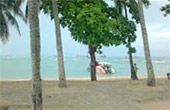 Pattaya from Bangkok One day tour