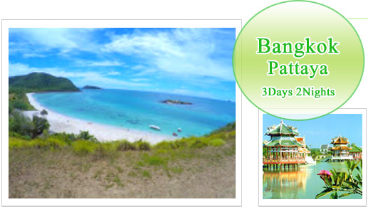 Bangkok Pattaya 3Days 2Nights