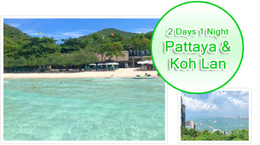 Pattaya and Koh Lan 2days1Night